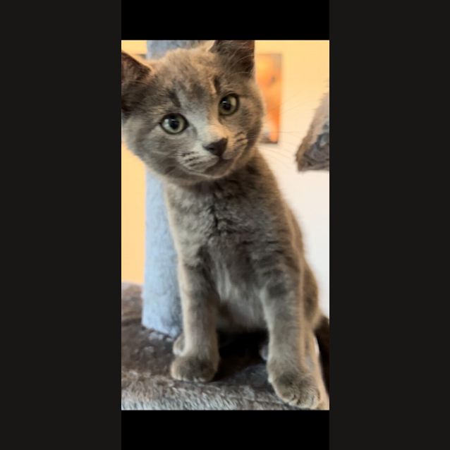 Photo of Storm