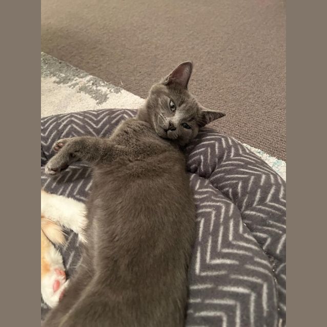 Photo of Storm