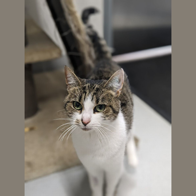 Photo of 🥟 Gnocchi 5092 🥟