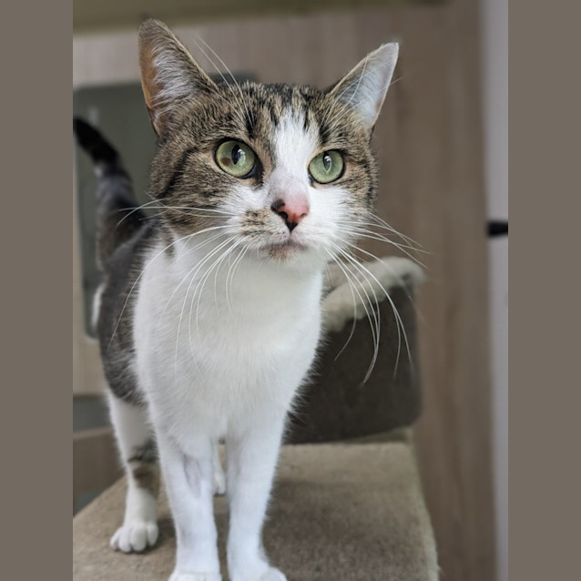 Photo of 🥟 Gnocchi 5092 🥟