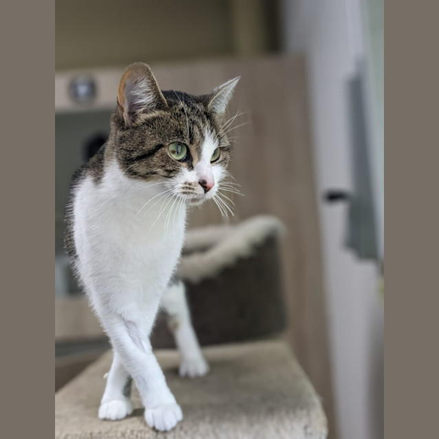 Photo of 🥟 Gnocchi 5092 🥟