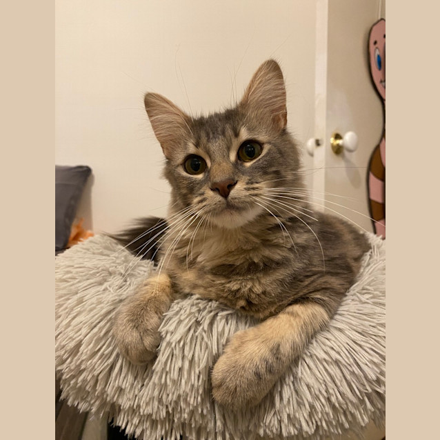 Photo of Marge