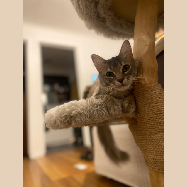 Photo of Marge