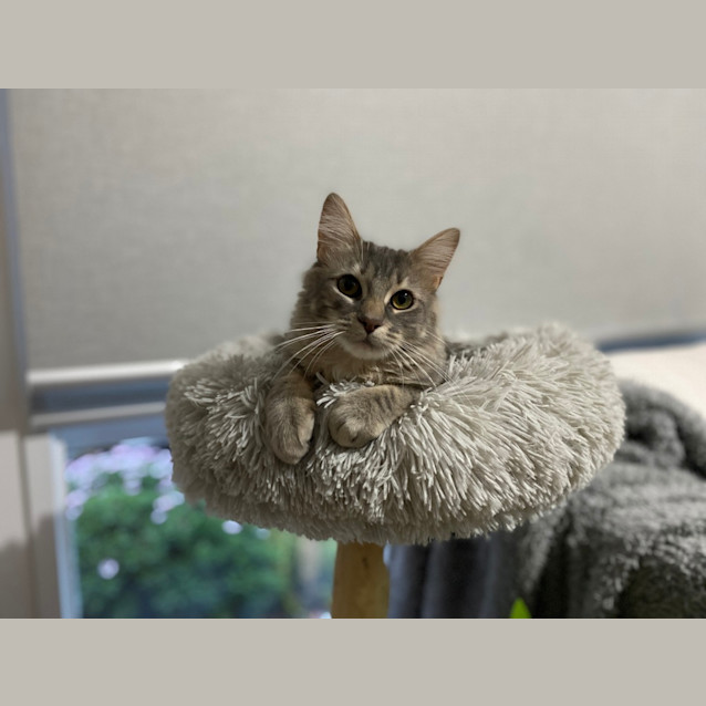 Photo of Marge