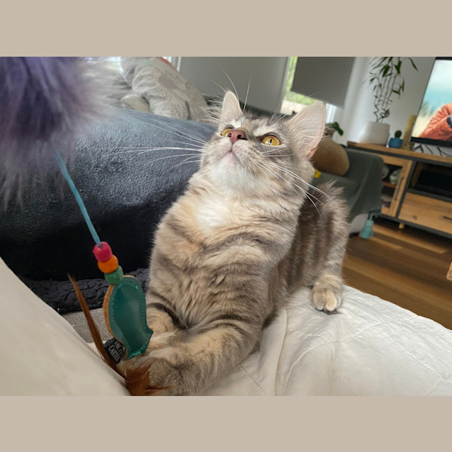 Photo of Marge