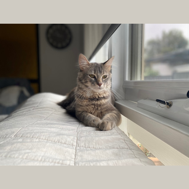 Photo of Marge