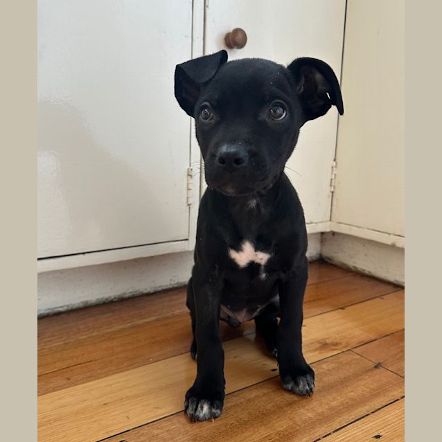 Photo of Sugar