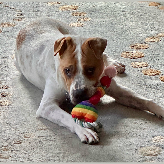 Photo of Winston