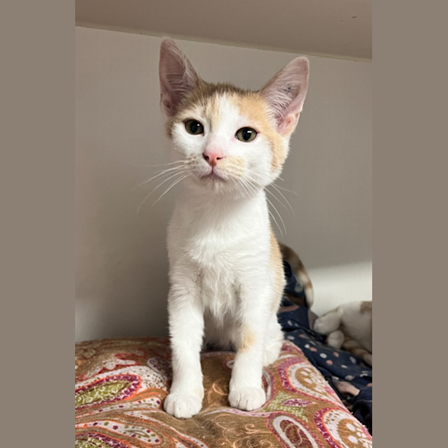 Photo of Ginny