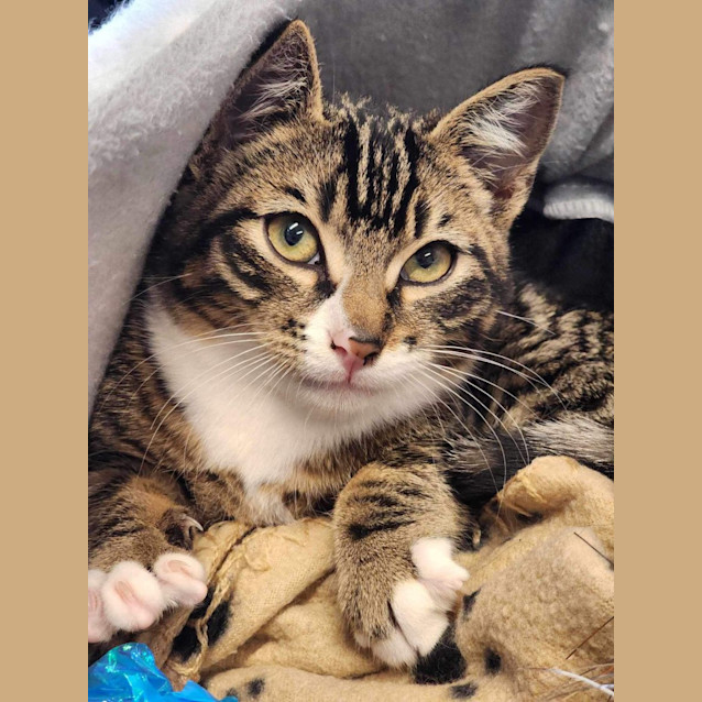 Photo of 🍮 Custard 5050 🍮