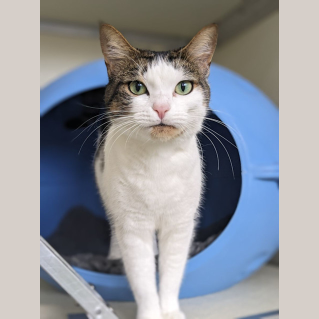 Photo of 🍸 Havana 5061 🍸