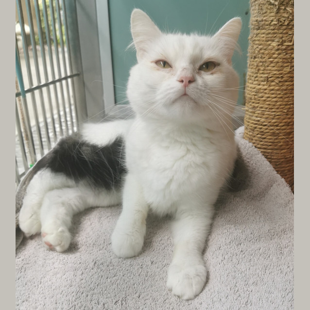 Photo of Cleo