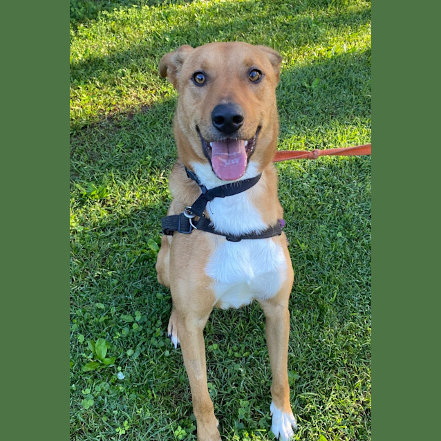 Photo of Diego