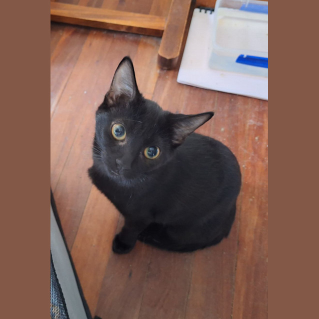 Photo of Sugar & Spice