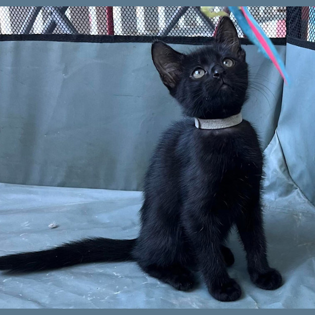 Photo of Tiny