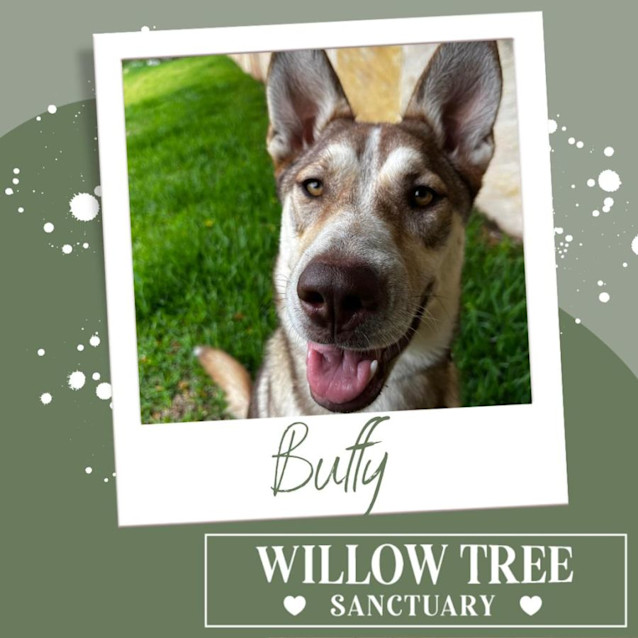 Photo of Buffy
