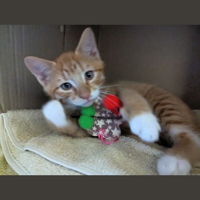 Photo of Edward