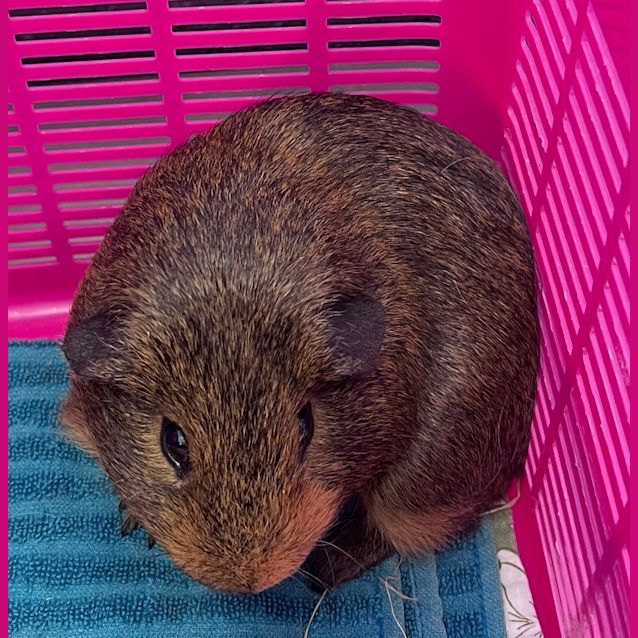 Photo of Little Jimmy