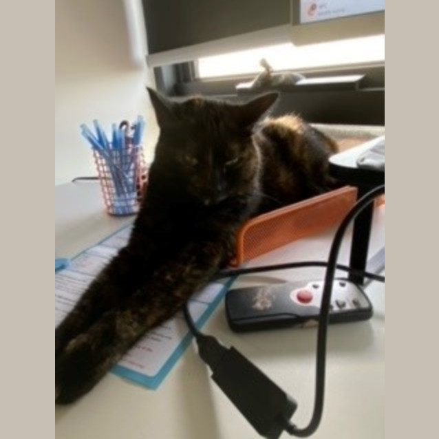 Photo of Nala