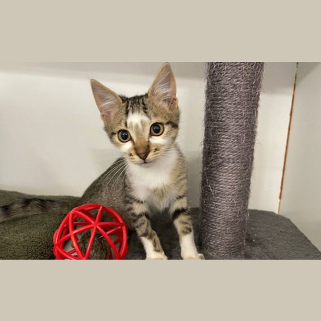 Photo of Milky