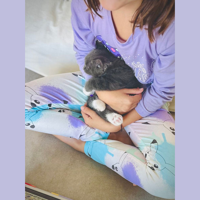 Photo of Colin Bridgerton