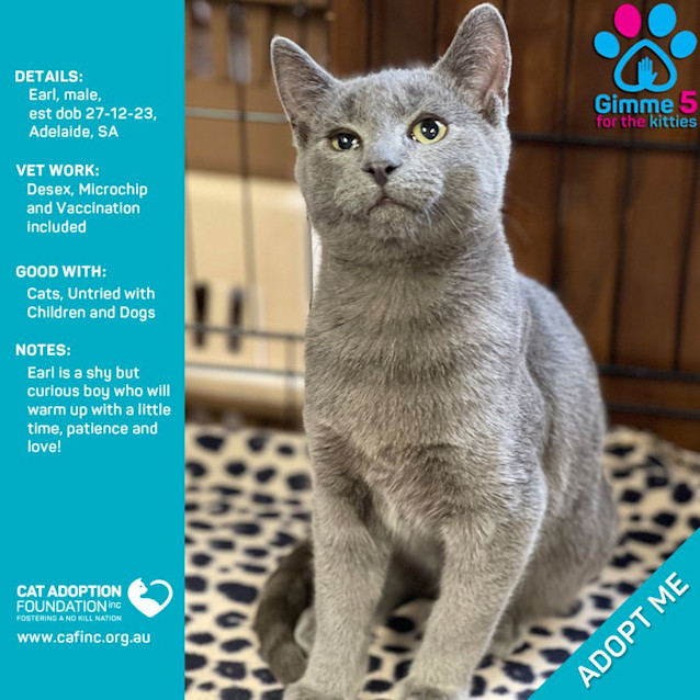 Photo of Earl Just $50 Limited Time!