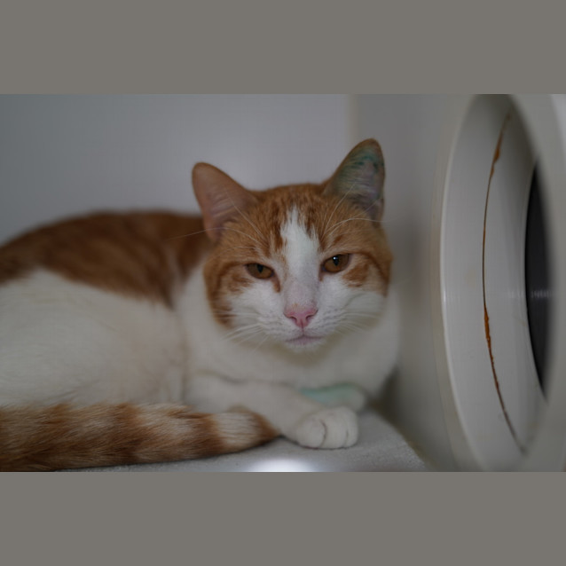 Photo of Neville Furbottom 