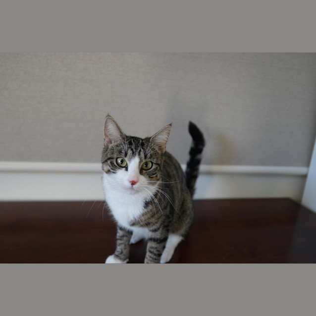 Photo of Cindy