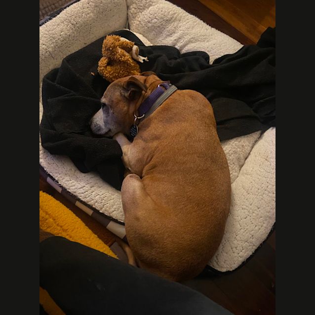 Photo of Maggie