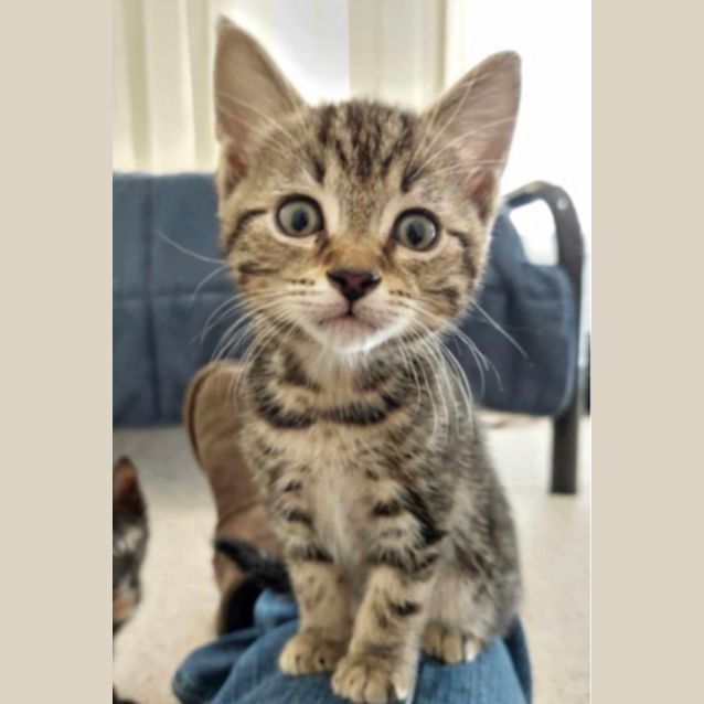 Photo of 🍑 Peach 🍑