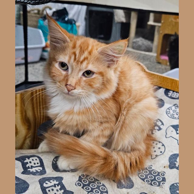 Photo of Sunny