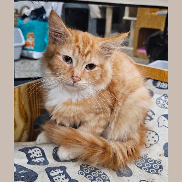 Photo of Sunny