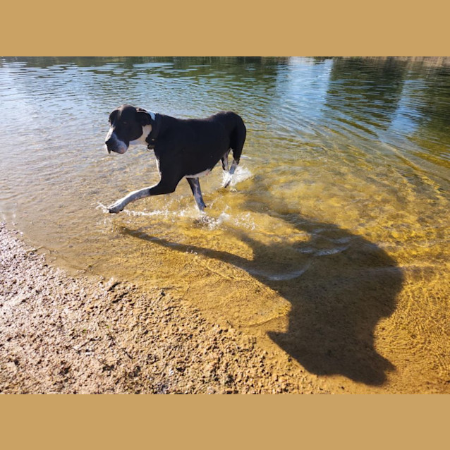 Photo of Nevada & Rhaegar 