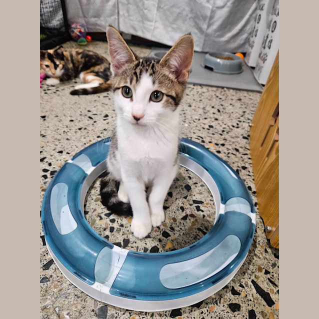 Photo of Jasper