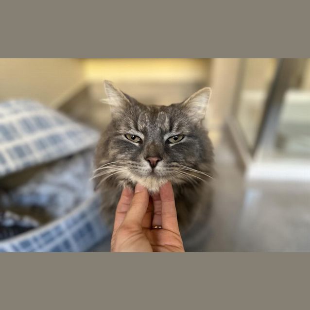 Photo of Mortimer