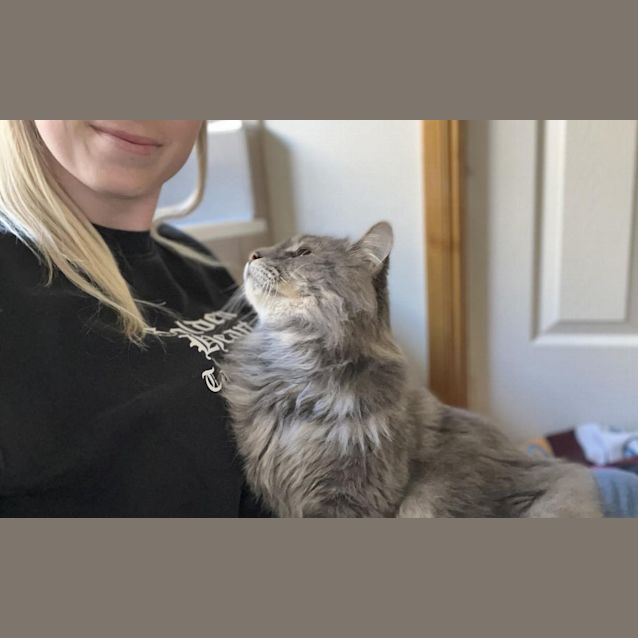 Photo of Mortimer