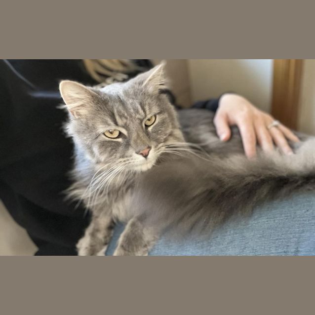 Photo of Mortimer