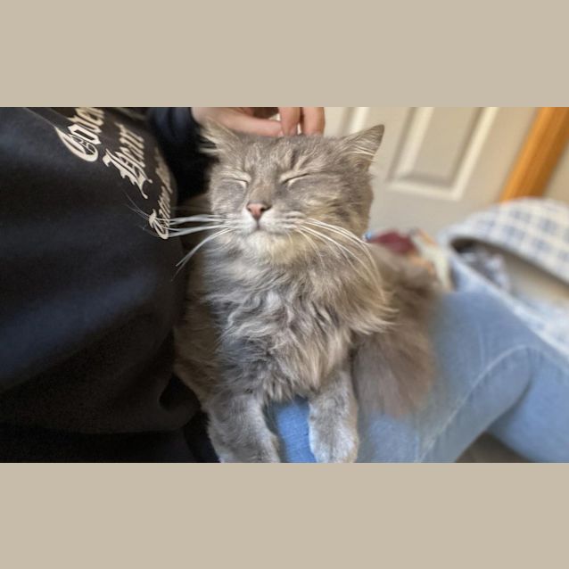 Photo of Mortimer
