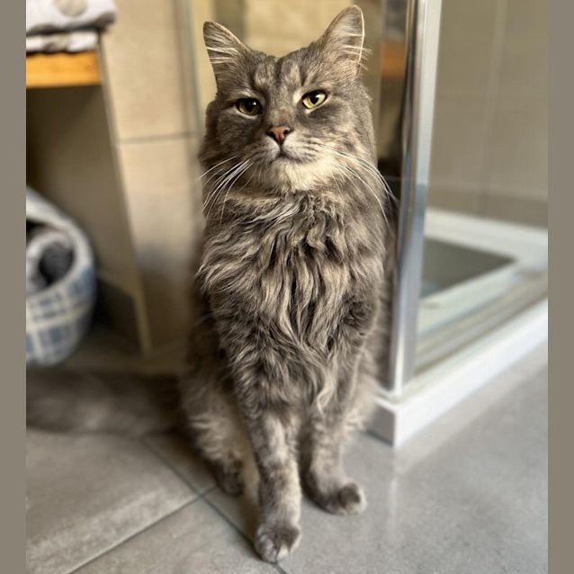 Photo of Mortimer