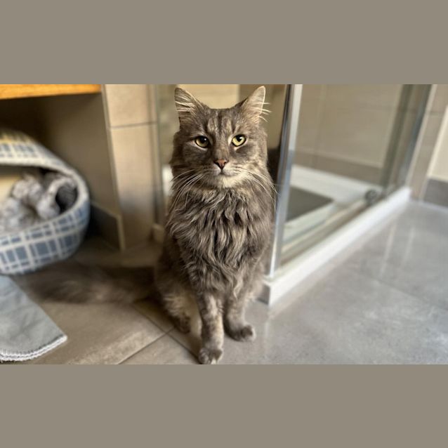 Photo of Mortimer