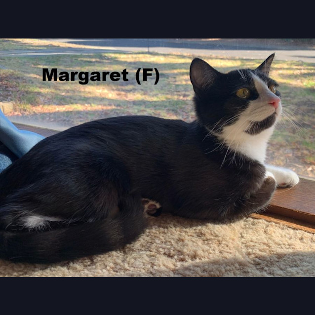 Photo of Margaret