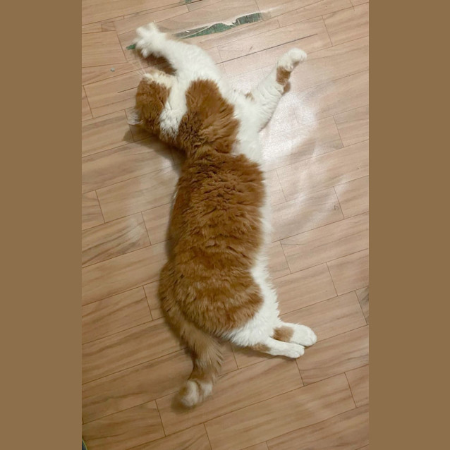 Photo of 🥝Kiwi🥝