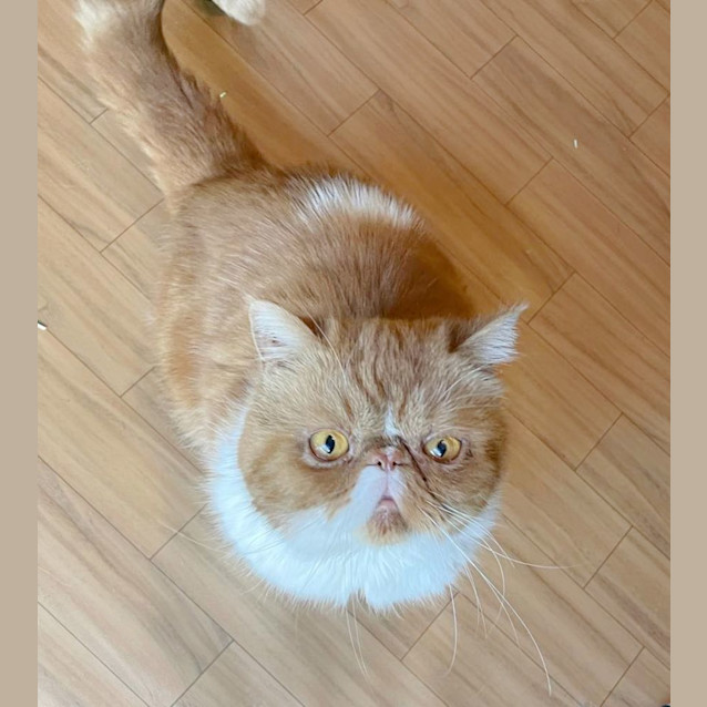 Photo of 🥝Kiwi🥝