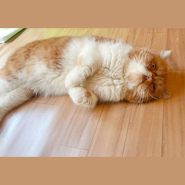 Photo of 🥝Kiwi🥝