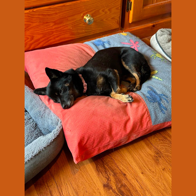 Photo of Itty Bitty