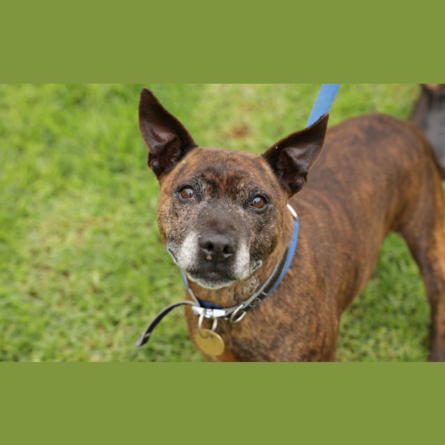 Photo of Matilda