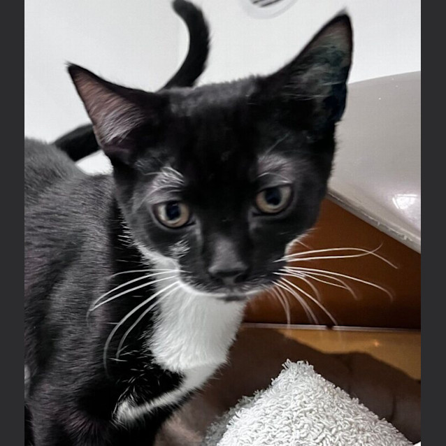 Photo of Milly