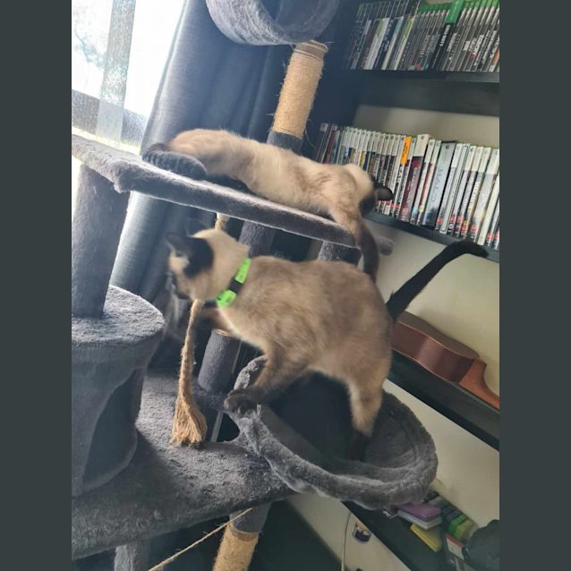 Photo of Jade And Ruby