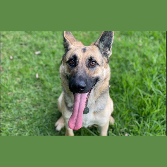 Photo of Remi