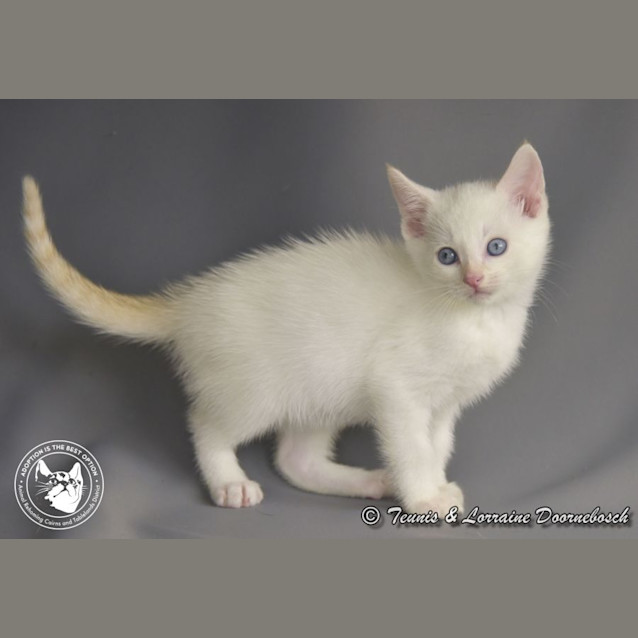 Photo of Monte Carlo